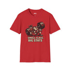 Small Class Big Stats T-Shirt