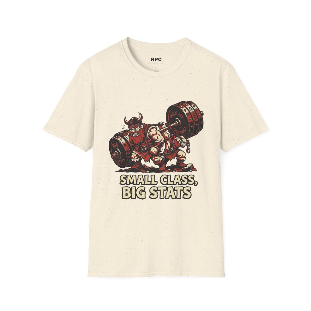 Small Class Big Stats T-Shirt