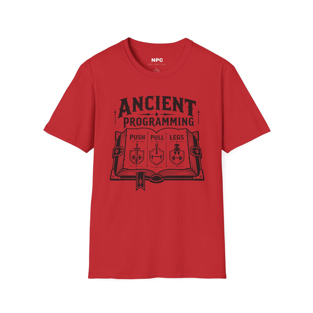 Ancient Programming T-Shirt