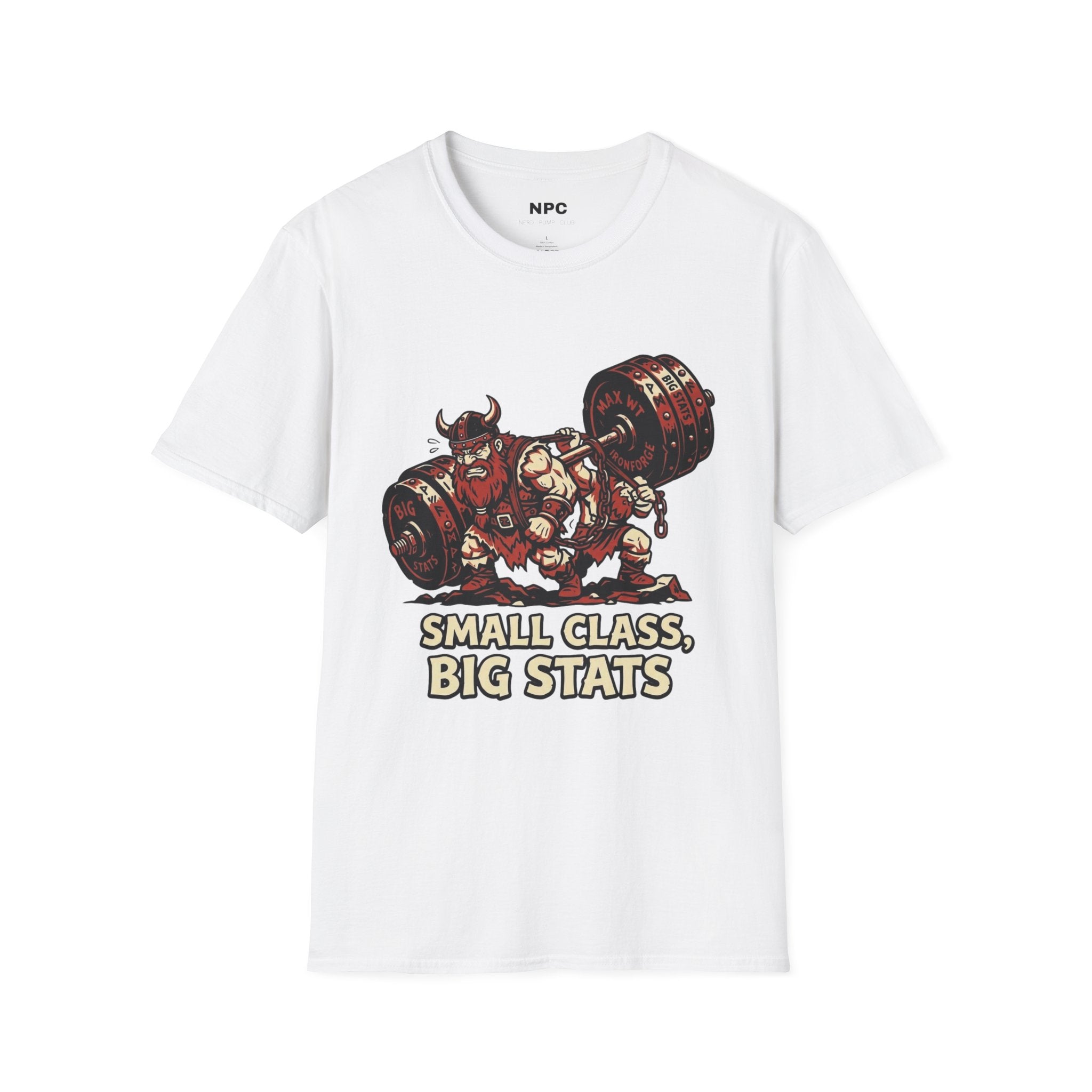 Small Class Big Stats T-Shirt