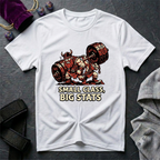 Small Class Big Stats T-Shirt